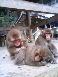 ほのぼの♪.JPG